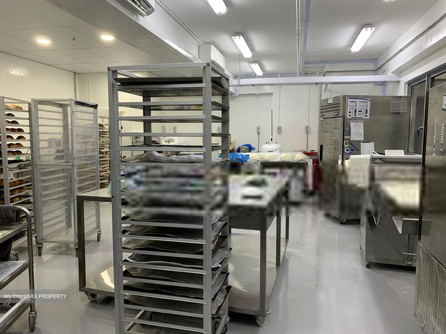 Mactaggart Foodlink (D13), Factory #561698441